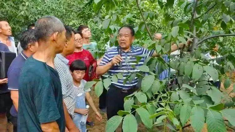 屯留县政府最新消息，推动县域经济高质量发展，打造宜居宜业新典范