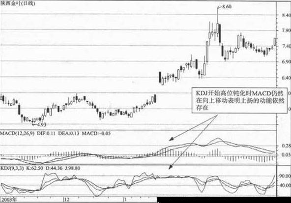 000812陕西金叶股吧最新消息，深度解析与未来展望